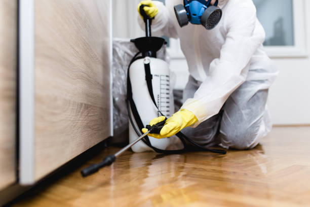 Best Pest Control for Restaurants  in Rolla, ND