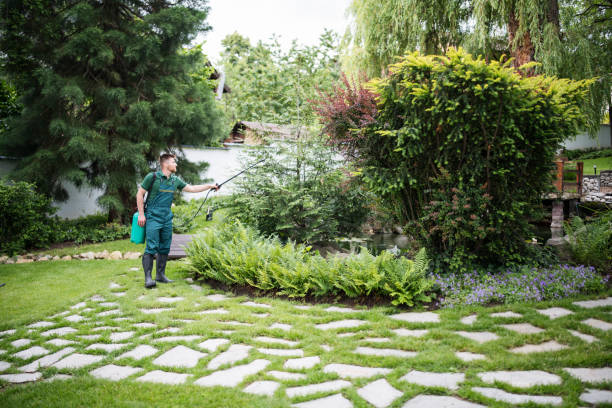 Best Pest Inspection Near Me  in Rolla, ND