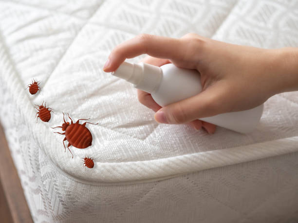 Best Best Pest Control Companies  in Rolla, ND