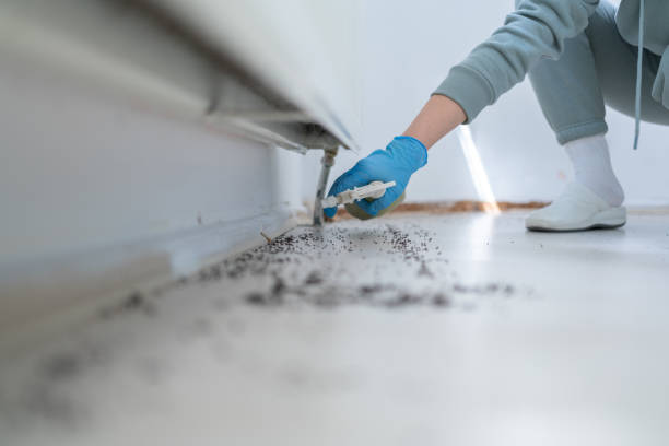 Best Best Pest Control Companies  in Rolla, ND